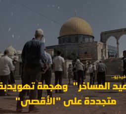إنفوفيديو سند.. 